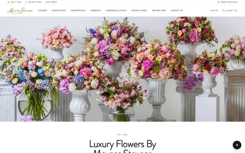 Website screenshot of Moyses Stevens